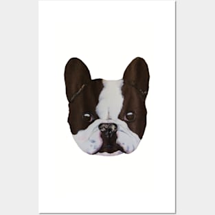 Boston Terrier Posters and Art